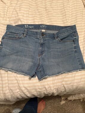 FREE in bundle LOFT Light Wash Denim Cutoff Shorts 12